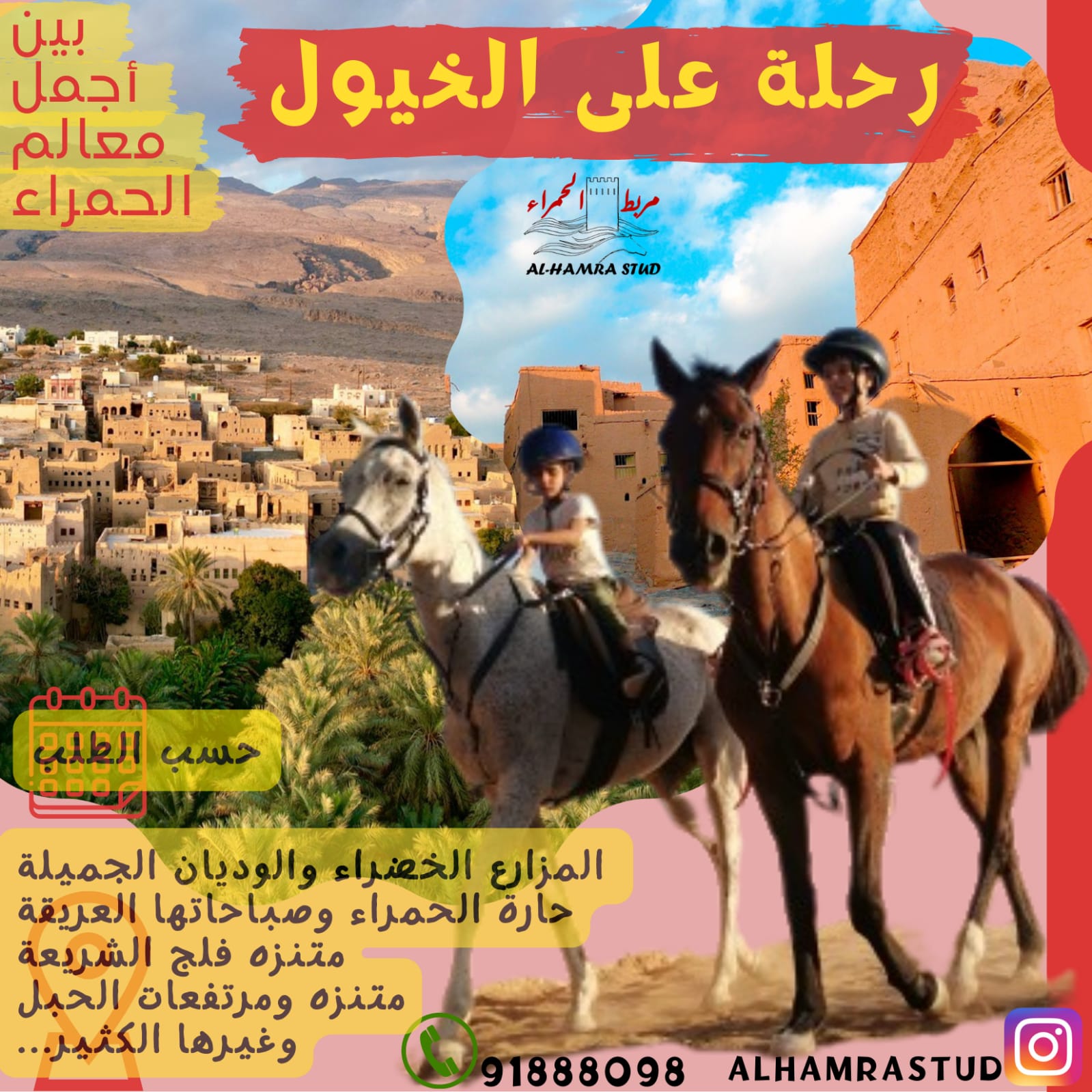 جولة سياحية على الخيل